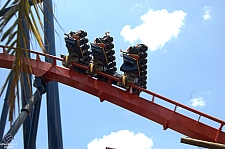 SheiKra