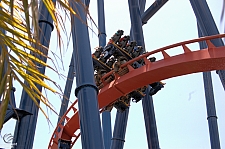 SheiKra