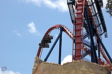 SheiKra