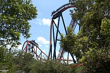 SheiKra