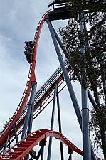 SheiKra