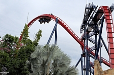 SheiKra