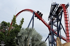 SheiKra