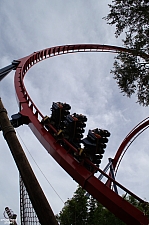 SheiKra