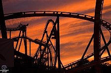 SheiKra