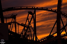 SheiKra