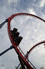 SheiKra