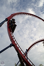 SheiKra