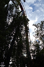 SheiKra