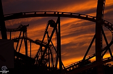 SheiKra