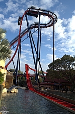 SheiKra