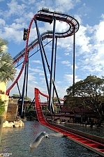 SheiKra