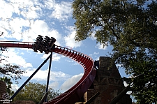 SheiKra