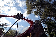 SheiKra