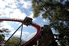 SheiKra