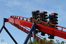 SheiKra