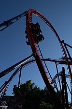 SheiKra