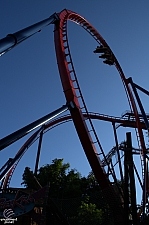 SheiKra