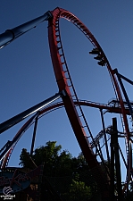 SheiKra