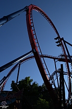 SheiKra