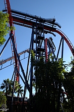 SheiKra