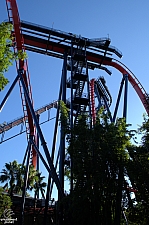 SheiKra