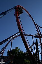 SheiKra