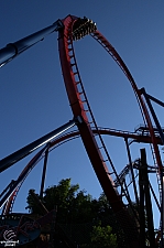 SheiKra