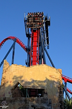 SheiKra