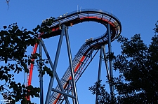 SheiKra