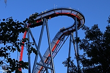 SheiKra