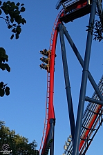 SheiKra