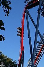 SheiKra