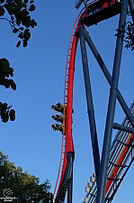 SheiKra