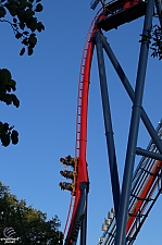 SheiKra