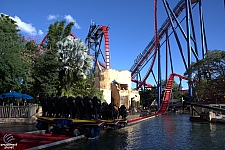 SheiKra