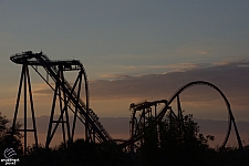 SheiKra