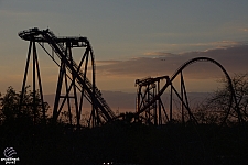 SheiKra