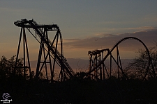 SheiKra