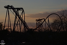 SheiKra