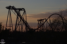 SheiKra