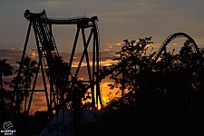 SheiKra