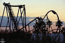 SheiKra