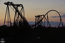 SheiKra