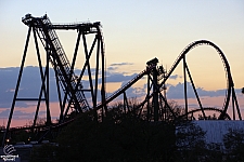 SheiKra