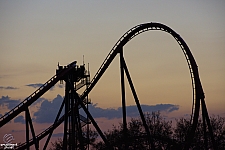 SheiKra