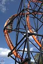 Tigris
