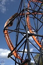 Tigris