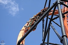 Tigris