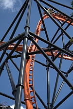 Tigris